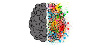 Entenda como marcas famosas utilizam a psicologia das cores